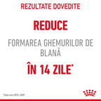 Royal Canin Hairball Care Adult hrana uscata pisica, limitarea ghemurilor de blana