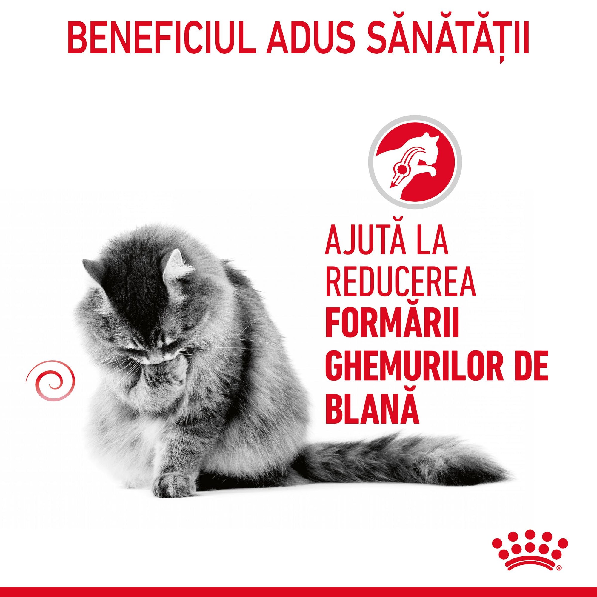 Royal Canin Hairball Care Adult hrana umeda pisica, limitarea ghemurilor de blana (in sos), 85 g