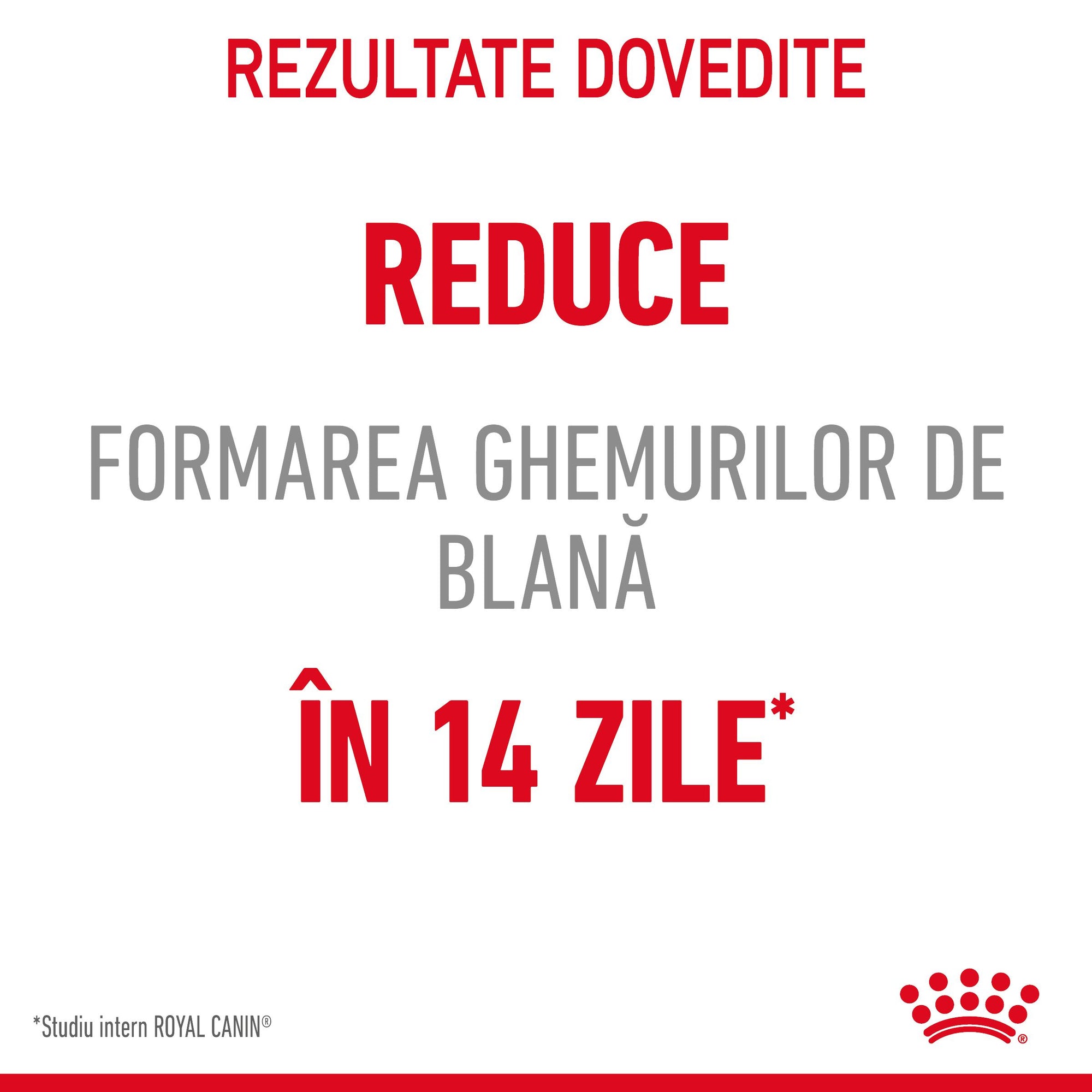 Royal Canin Hairball Care Adult hrana umeda pisica, limitarea ghemurilor de blana (in sos), 85 g