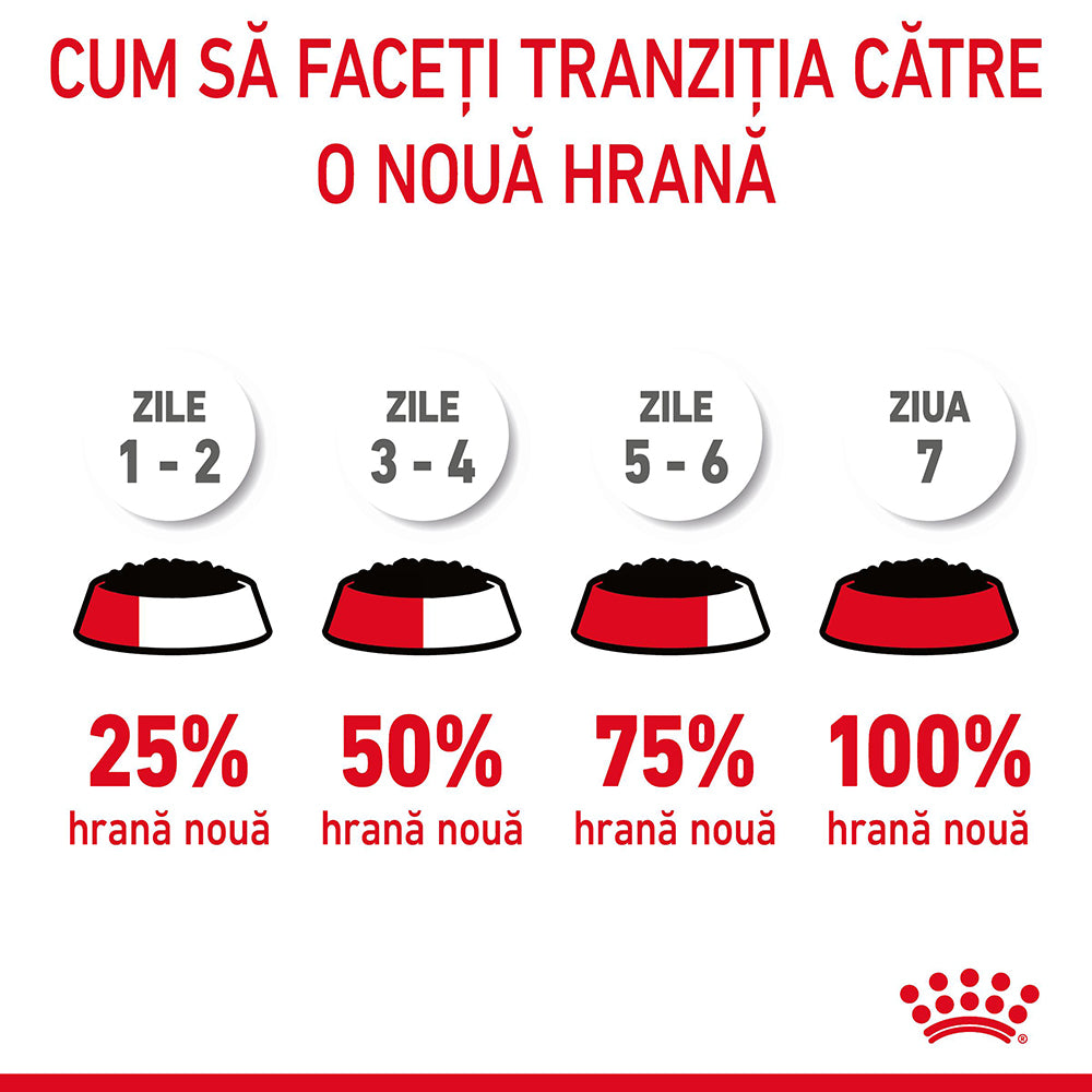 Royal Canin Hairball Care Adult hrana umeda pisica, limitarea ghemurilor de blana (in aspic), 85 g