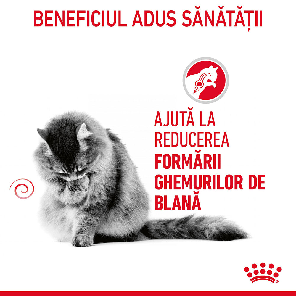 Royal Canin Hairball Care Adult hrana umeda pisica, limitarea ghemurilor de blana (in aspic), 85 g