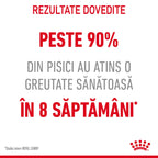 Royal Canin Light Weight Care Adult  hrana uscata pisica, limitarea cresterii in greutate