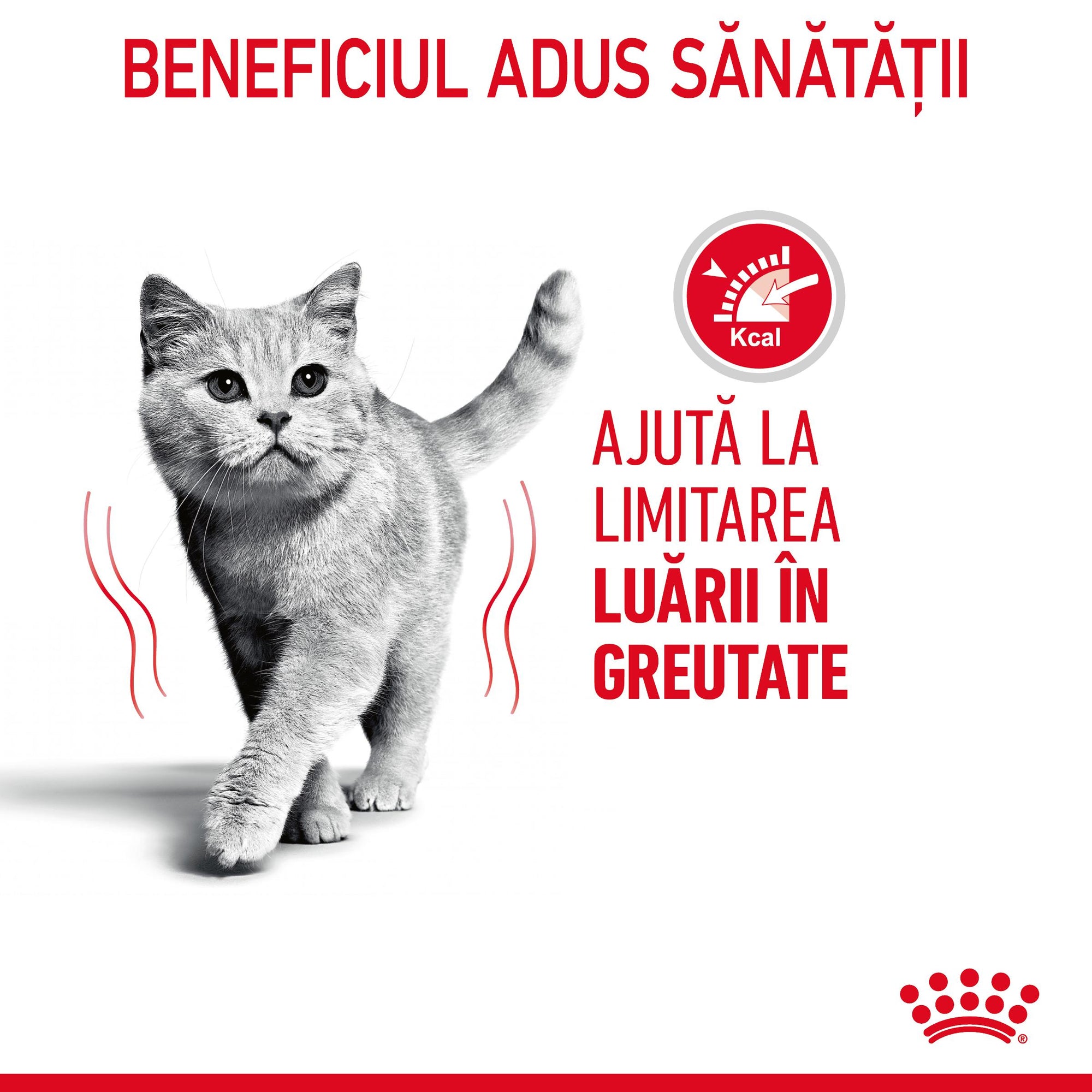 Royal Canin Light Weight Care Adult hrana umeda pisica, limitarea cresterii in greutate (in sos), 85 g