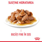 Royal Canin Urinary Care Adult hrana umeda pisica, sanatatea tractului urinar (in sos), 85 g