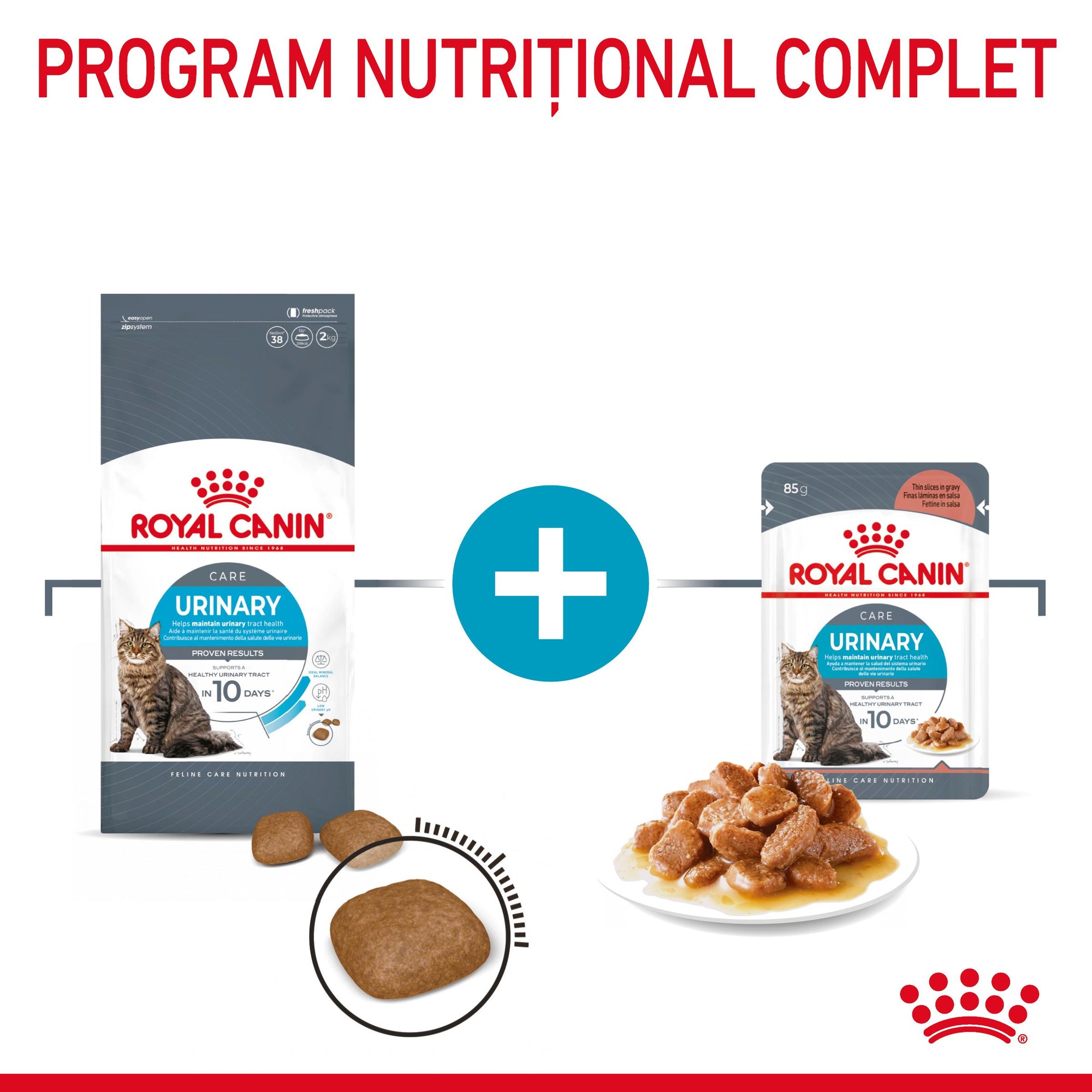 Royal Canin Urinary Care Adult hrana umeda pisica, sanatatea tractului urinar (in sos), 85 g