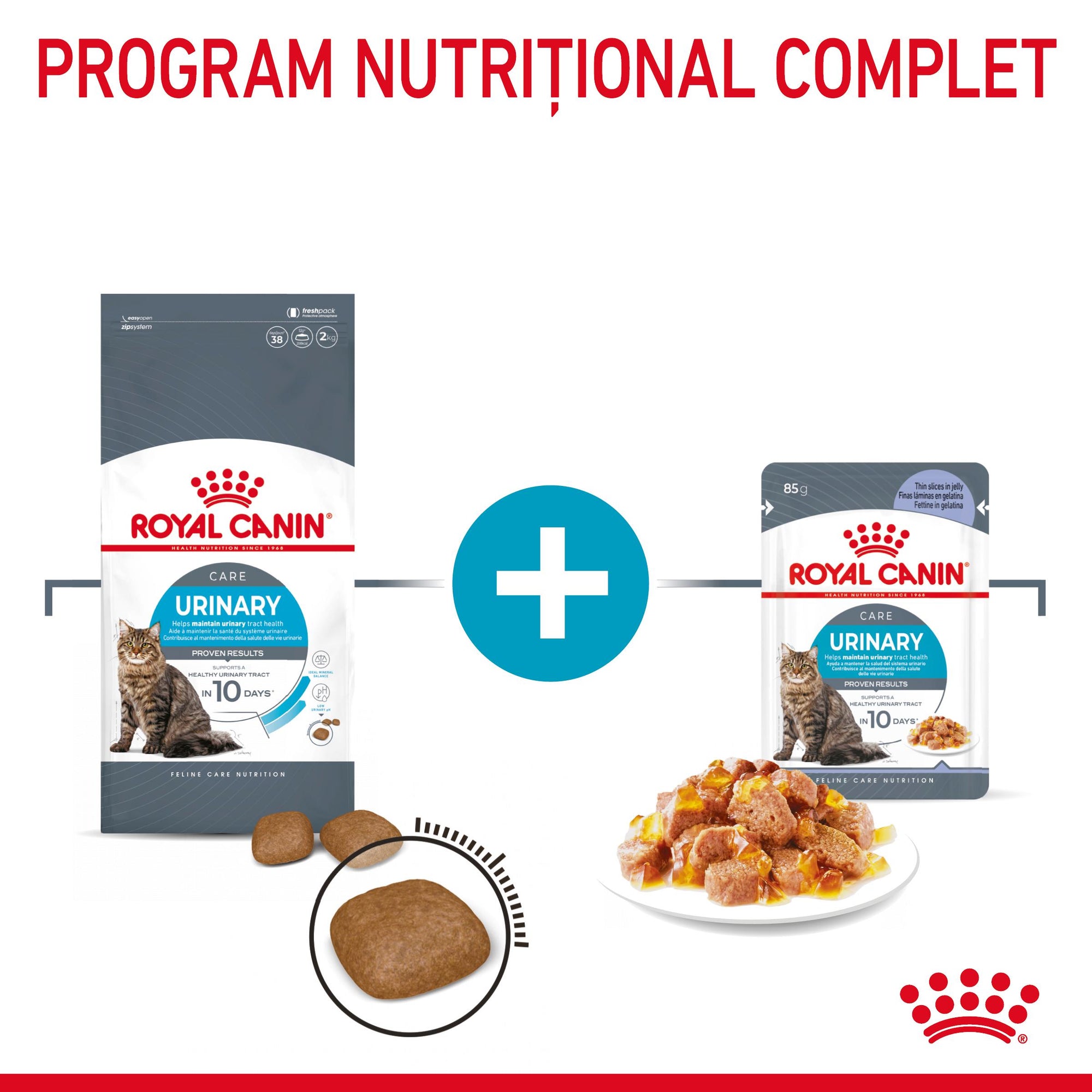 Royal Canin Urinary Care Adult hrana umeda pisica, sanatatea tractului urinar (in aspic), 85 g