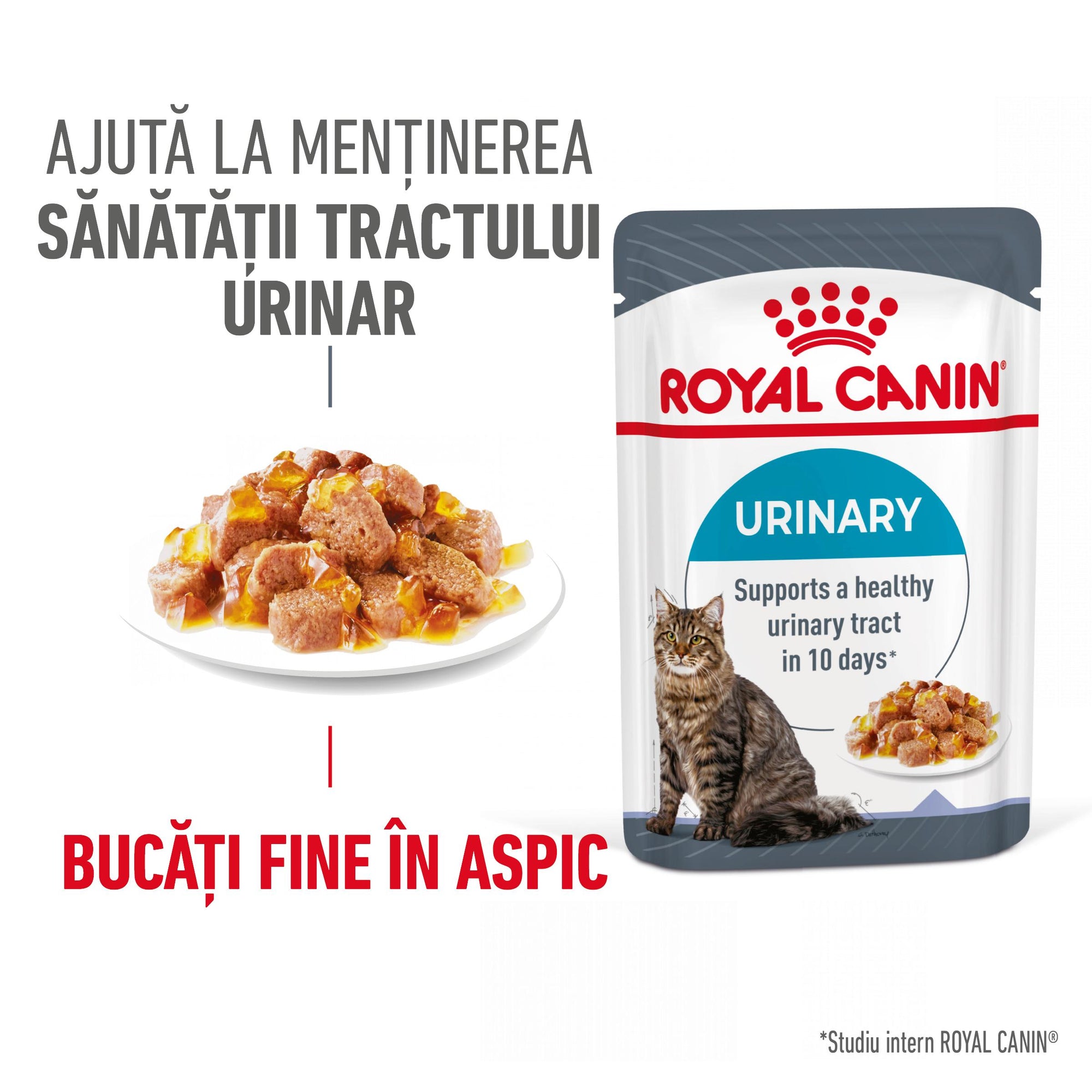 Royal Canin Urinary Care Adult hrana umeda pisica, sanatatea tractului urinar (in aspic), 85 g