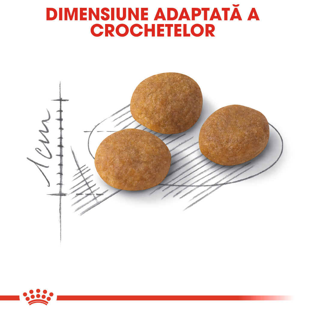 Royal Canin Exigent Aroma Adult hrana uscata pisica, pentru apetit capricios, 2 kg