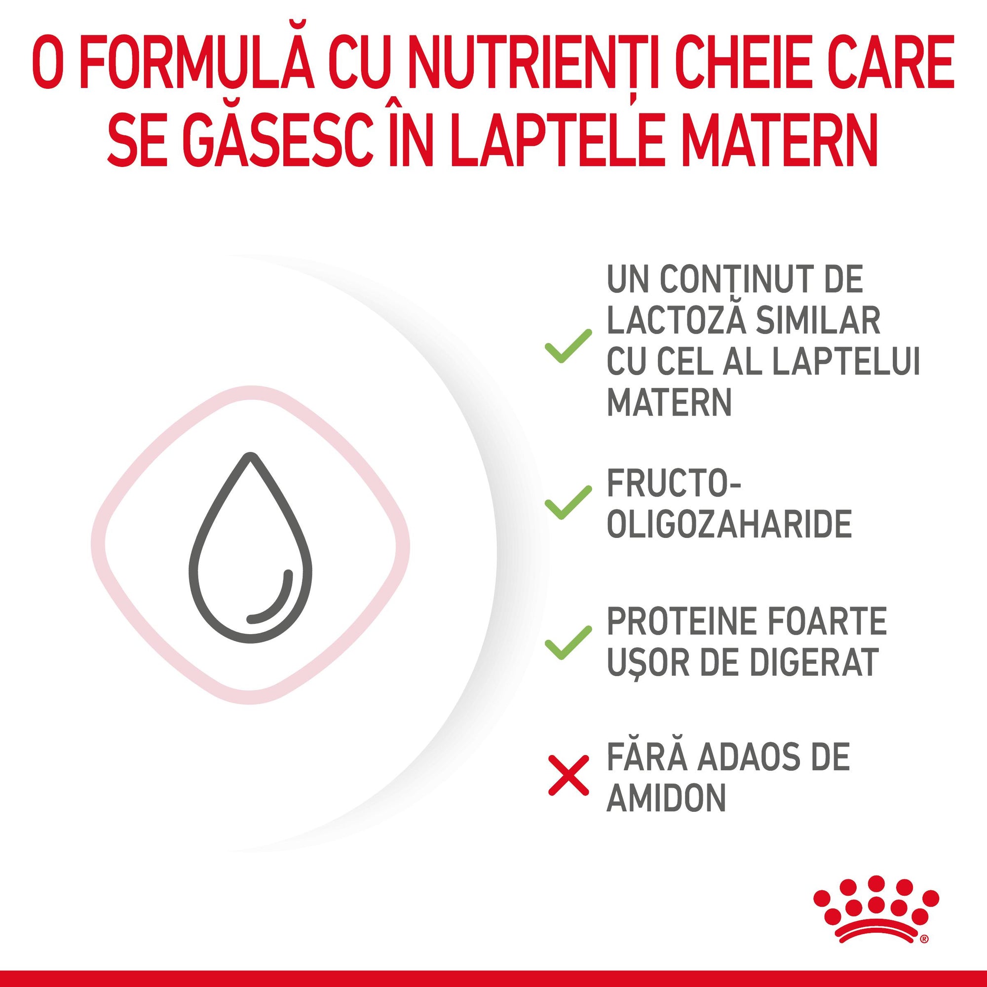 Royal Canin BabyCat Milk inlocuitor lapte matern pisica, 300 g