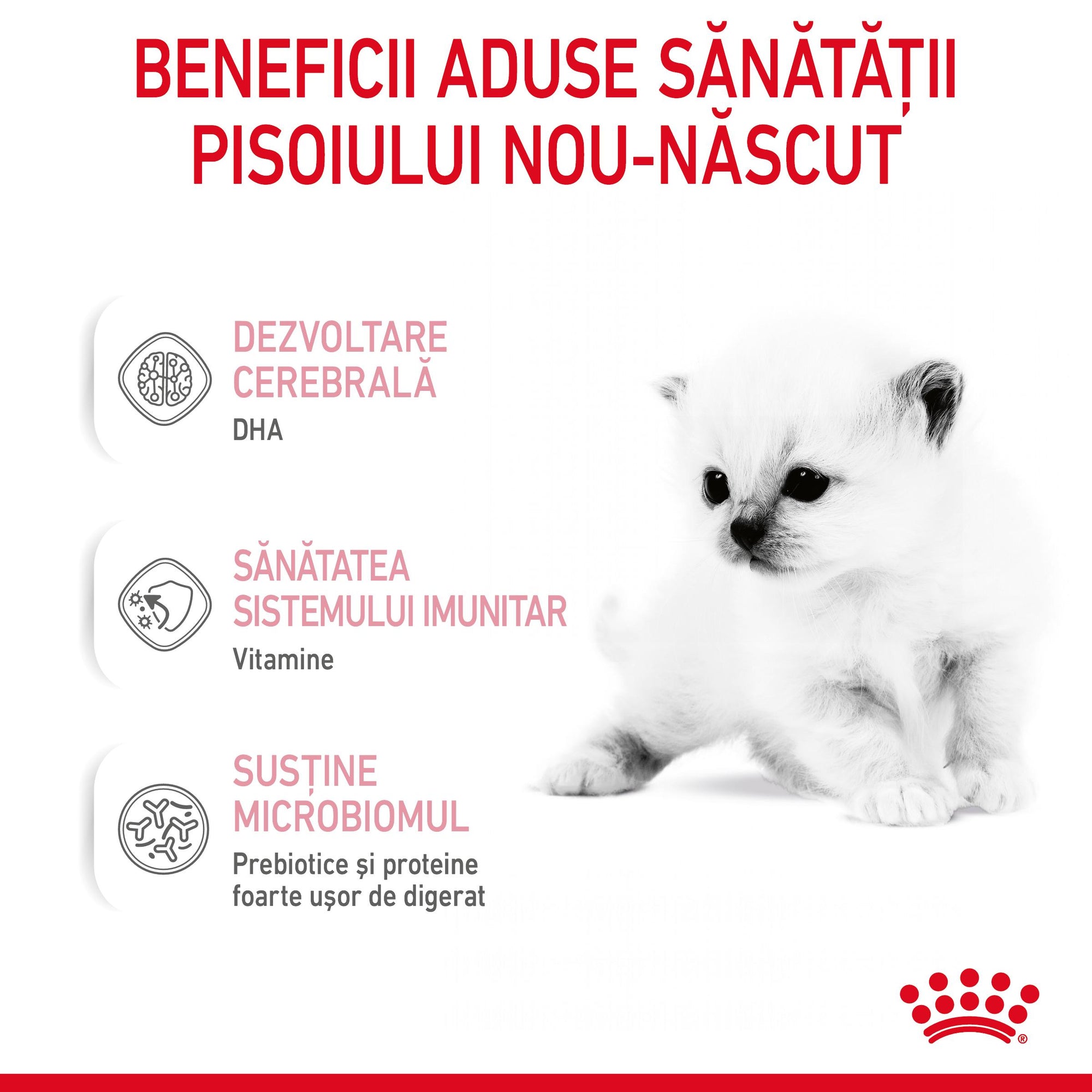 Royal Canin BabyCat Milk inlocuitor lapte matern pisica, 300 g