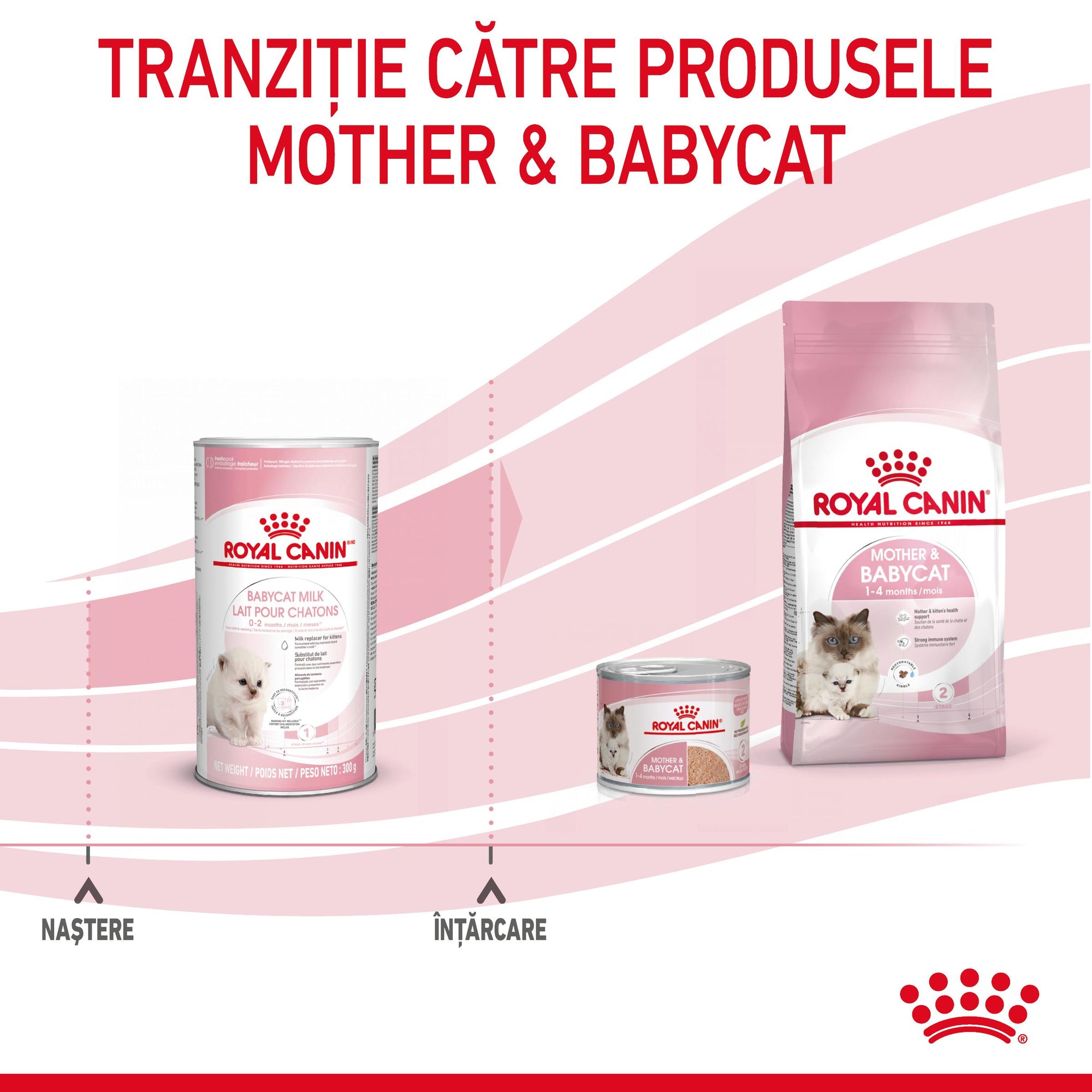 Royal Canin BabyCat Milk inlocuitor lapte matern pisica, 300 g
