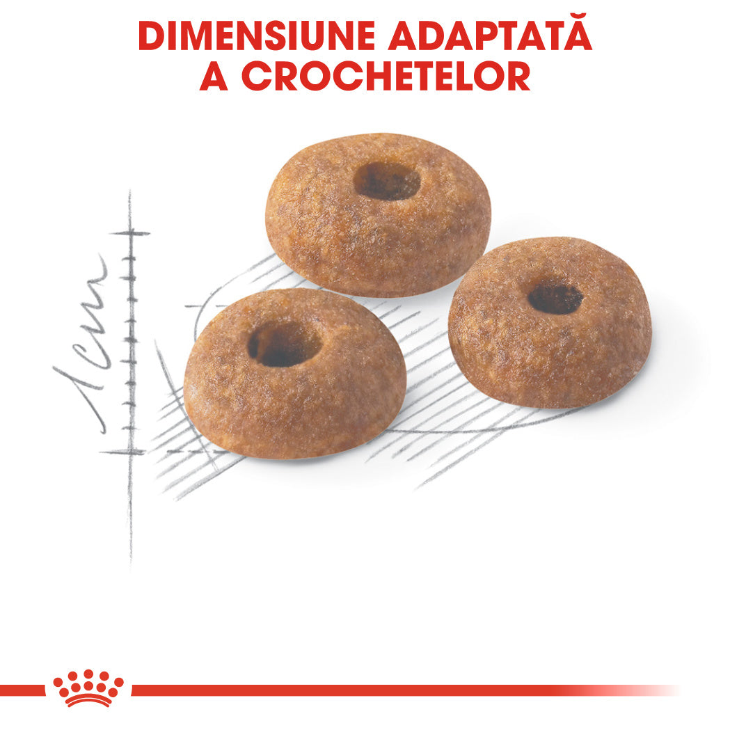 Royal Canin Fit32 Adult hrana uscata pisica, activitate fizica moderata