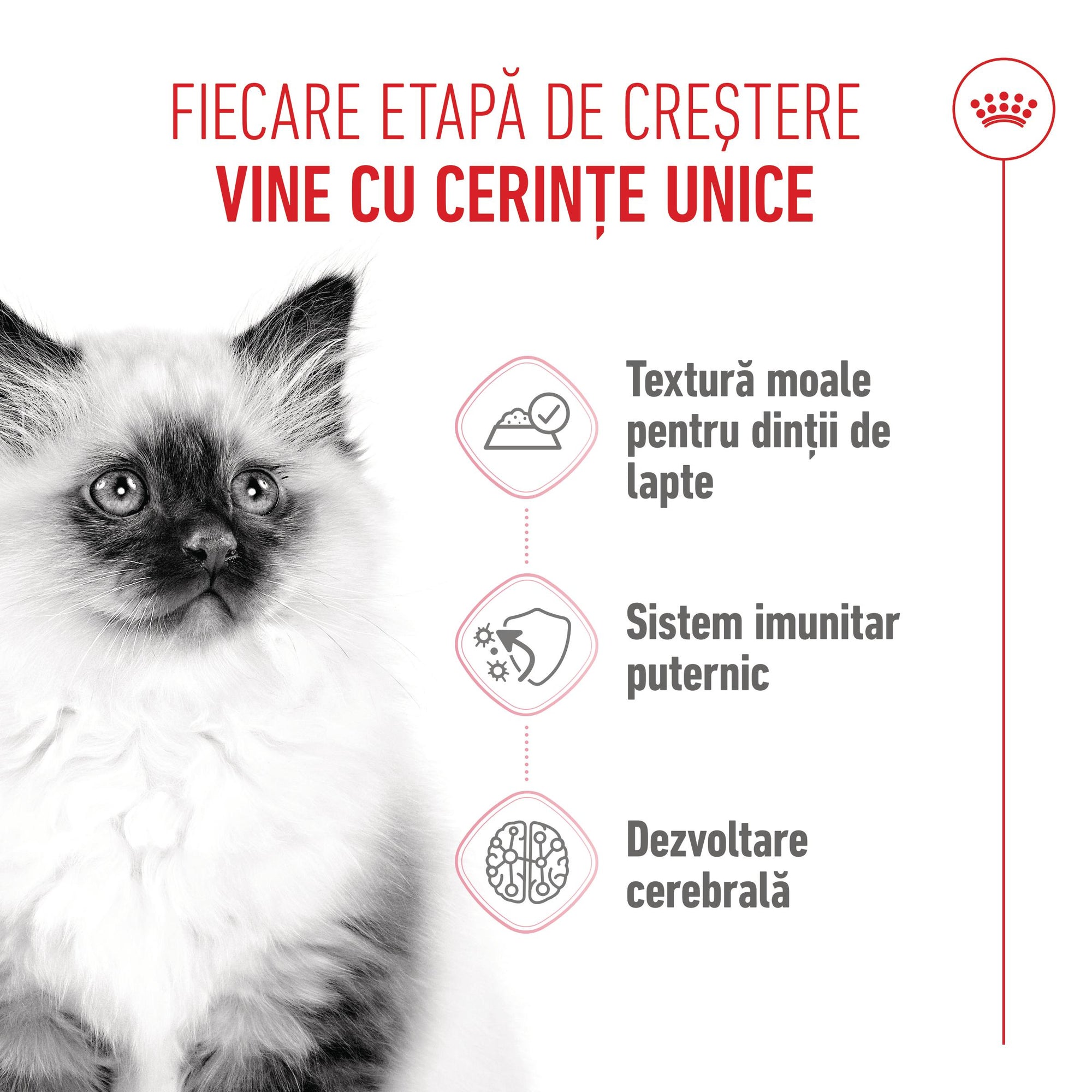 Royal Canin Kitten hrana umeda pisica junior (in sos), 85 g
