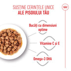 Royal Canin Kitten hrana umeda pisica junior (in sos), 85 g