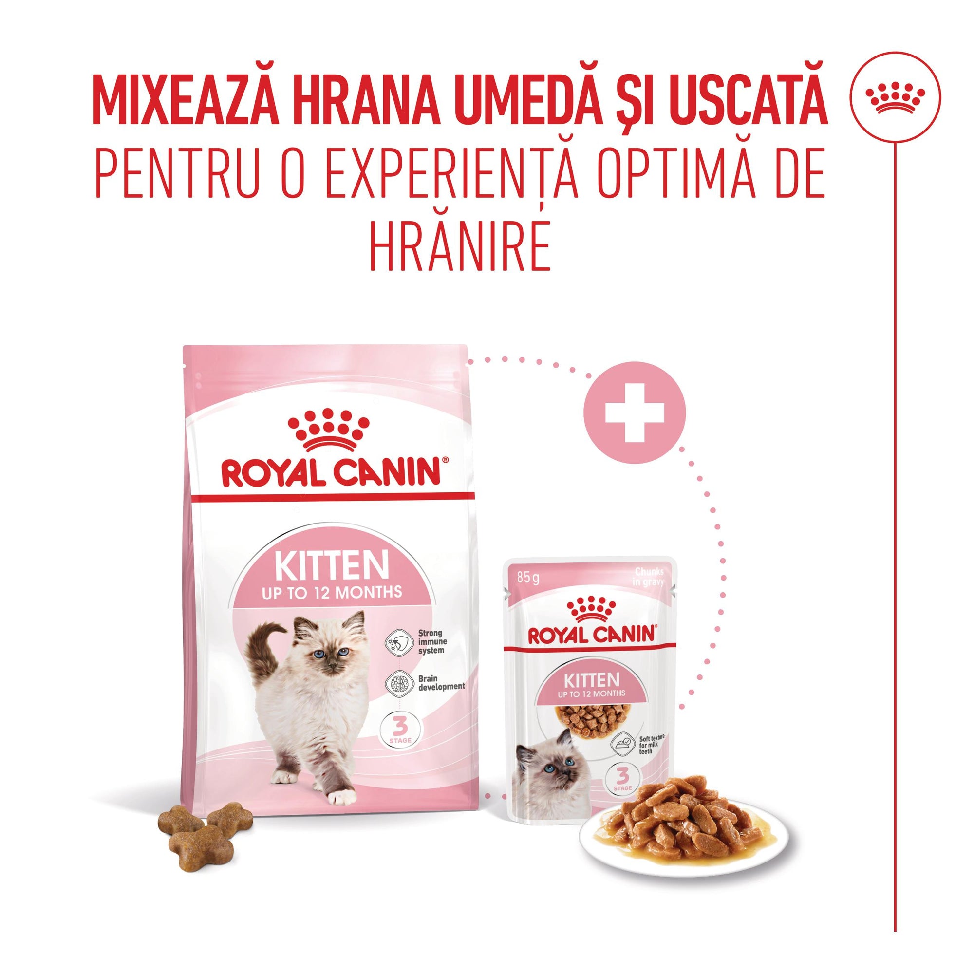 Royal Canin Kitten hrana umeda pisica junior (in sos), 85 g