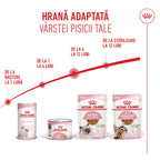 Royal Canin Kitten hrana umeda pisica junior (in sos), 85 g