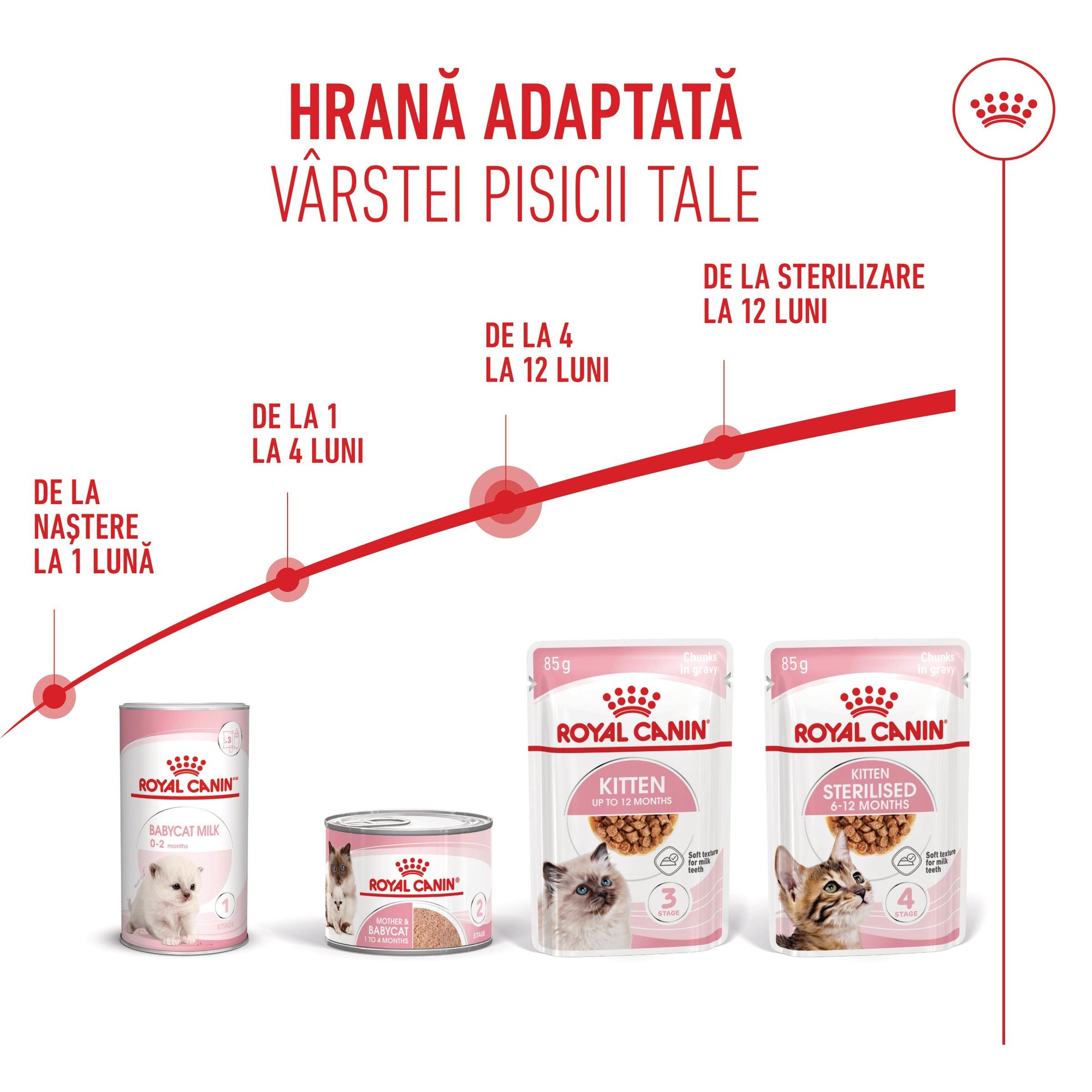 Royal Canin Kitten hrana umeda pisica junior (in sos), 85 g