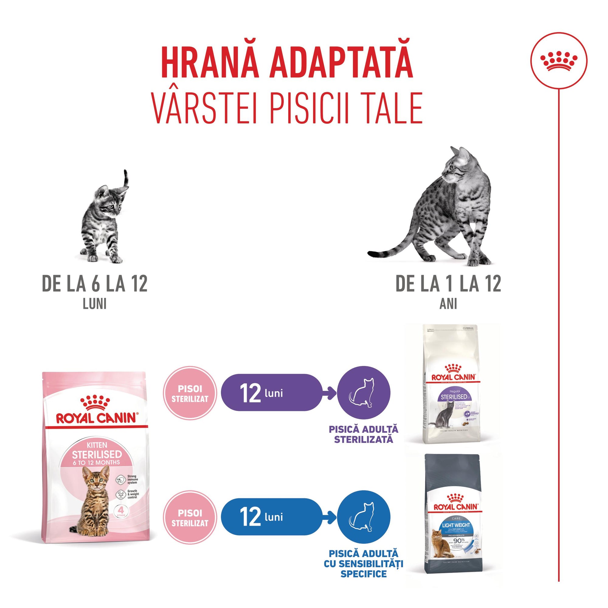 Royal Canin Kitten Sterilised hrana uscata pisica sterilizata junior
