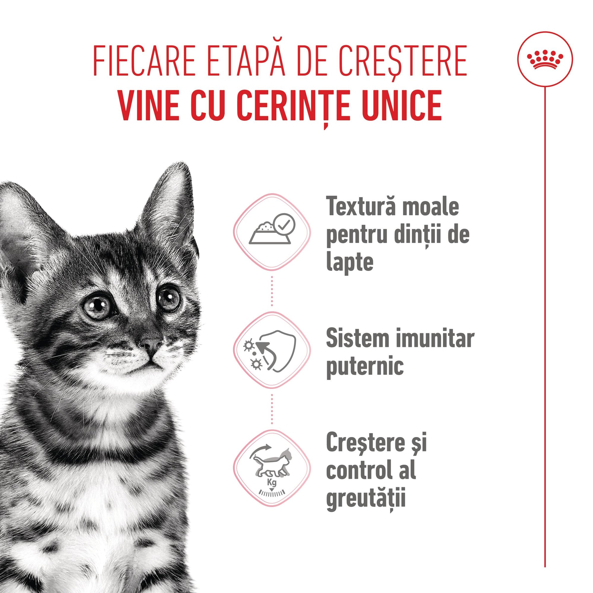 Royal Canin Kitten Sterilised hrana umeda pisica sterilizata junior (in sos), 85 g