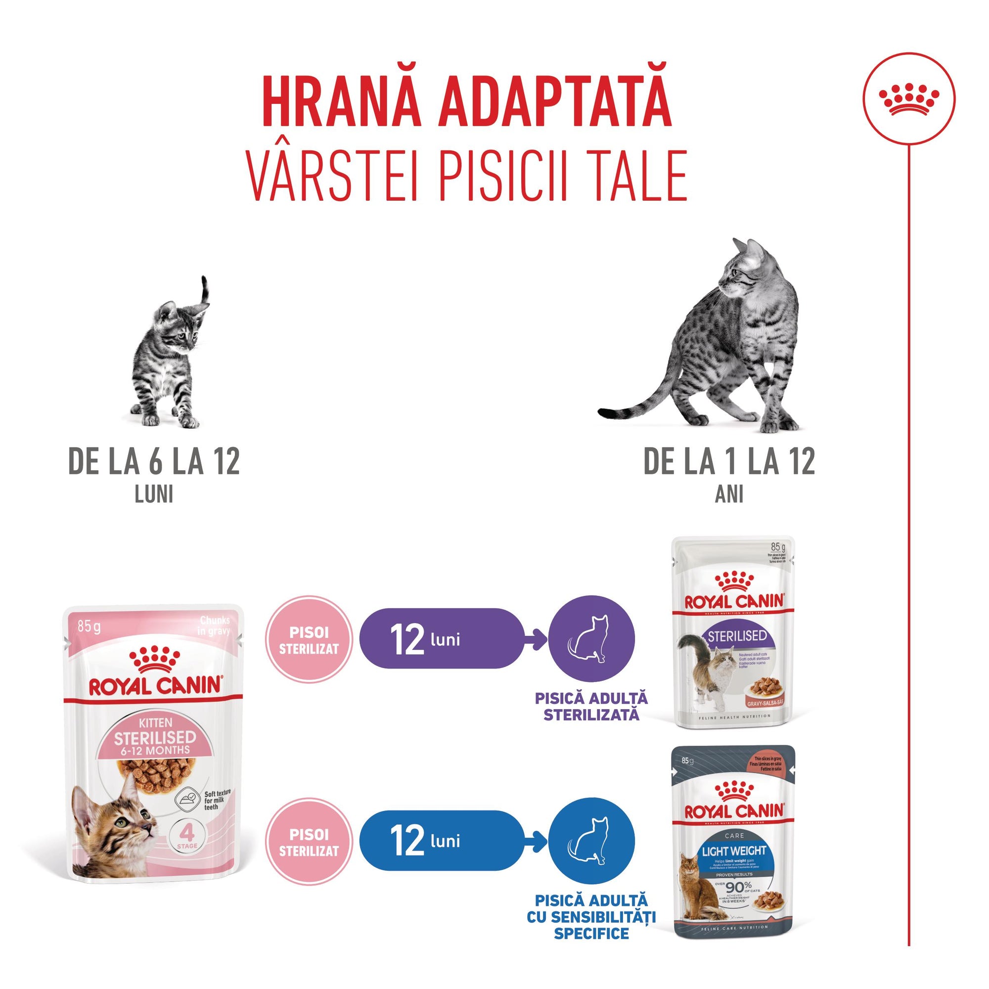 Royal Canin Kitten Sterilised hrana umeda pisica sterilizata junior (in sos), 85 g