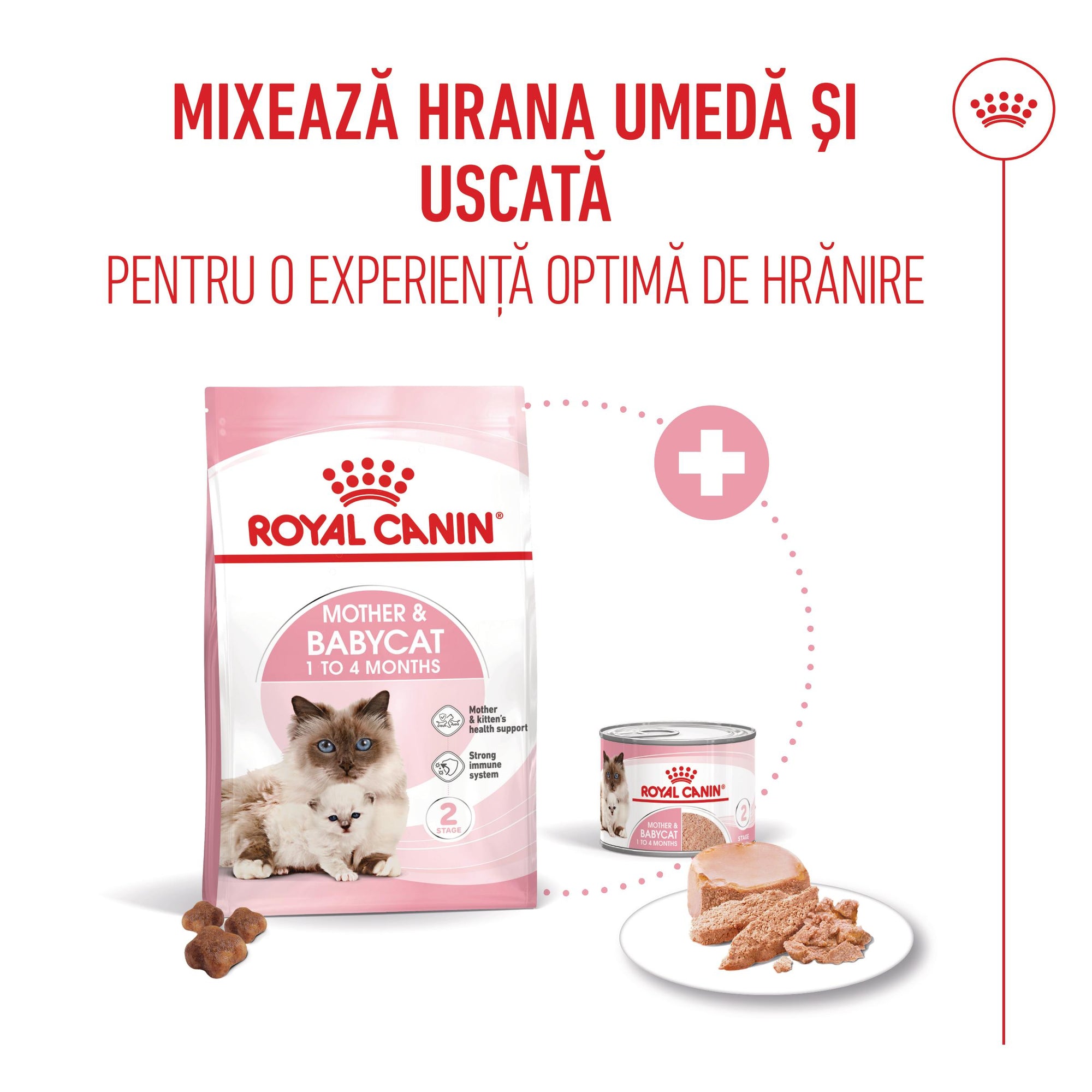 Royal Canin Mother & BabyCat hrana umeda pisica, mama si puiul (textura spumoasa), 195 g