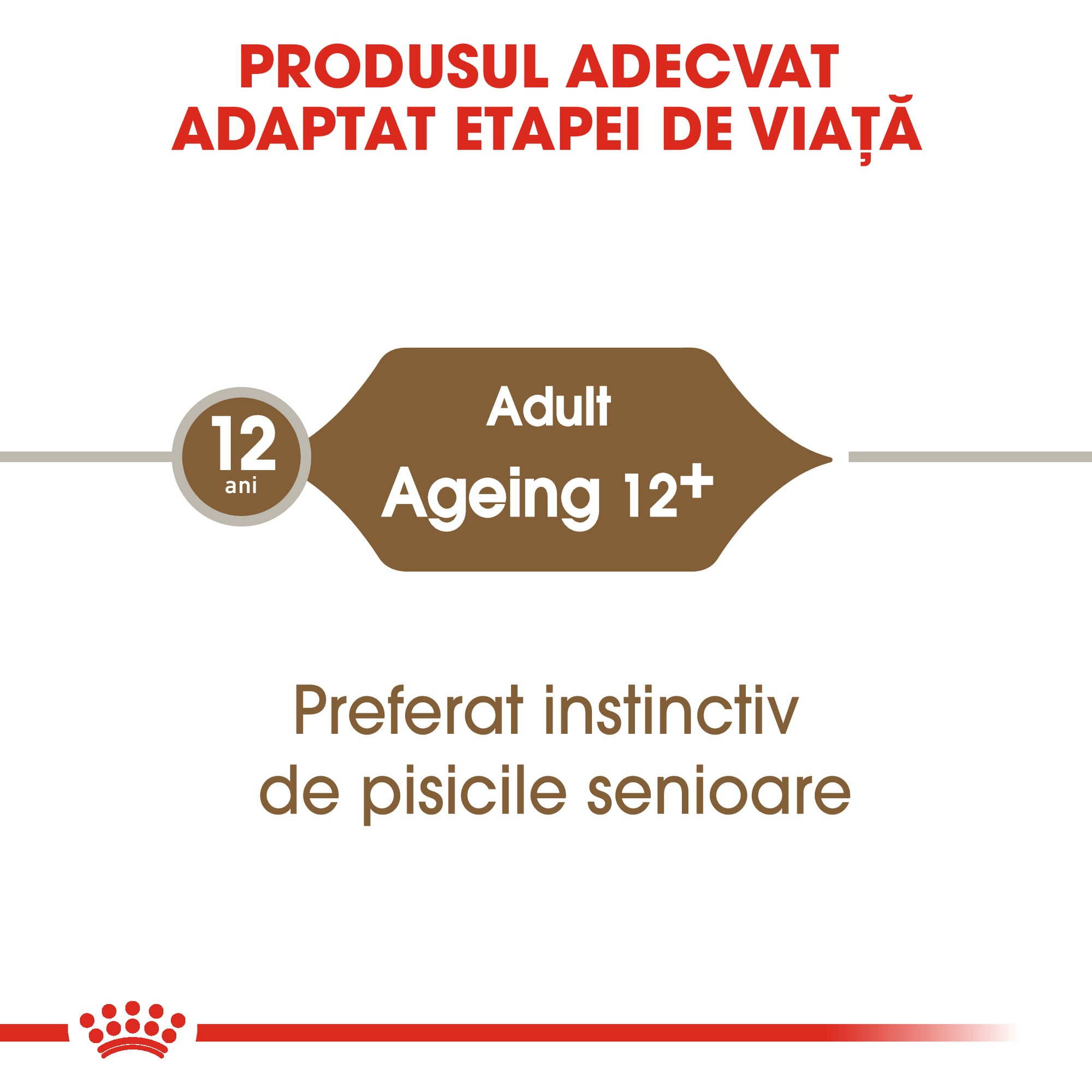 Royal Canin Ageing 12+ hrana umeda pisica senior (in sos), 85 g