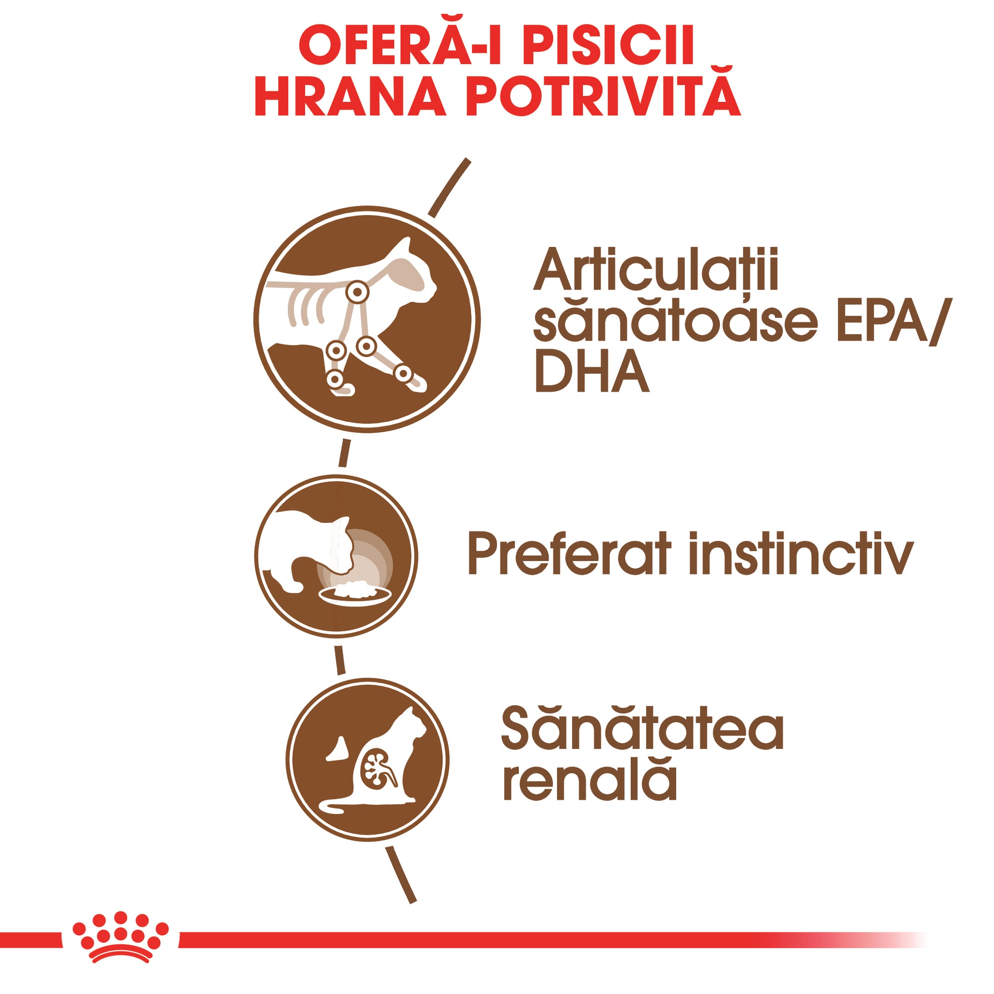 Royal Canin Ageing 12+ hrana umeda pisica senior (in sos), 85 g