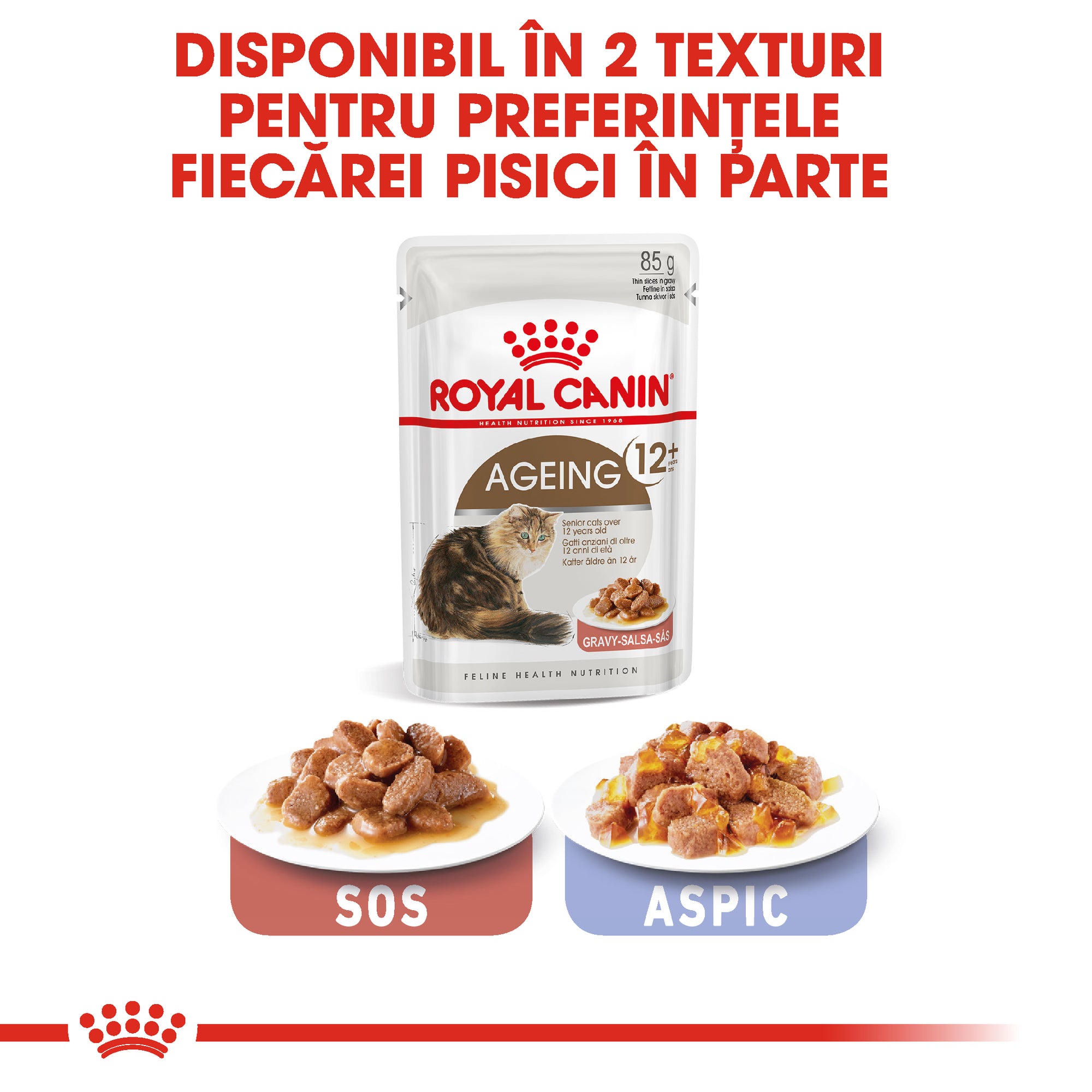 Royal Canin Ageing 12+ hrana umeda pisica senior (in sos), 85 g