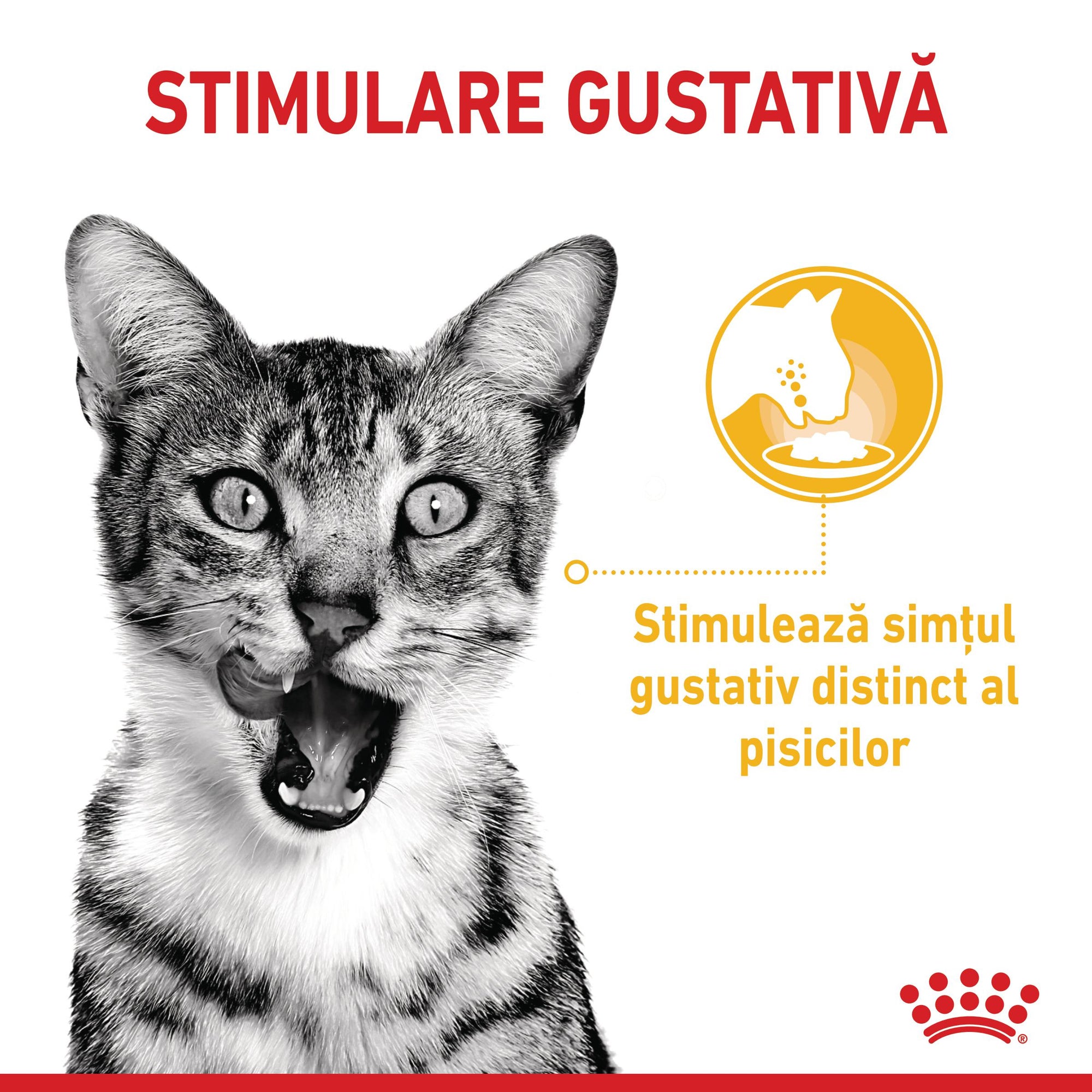 Royal Canin Sensory Taste, hrana umeda pisici, stimularea gustului (in sos), 85 g
