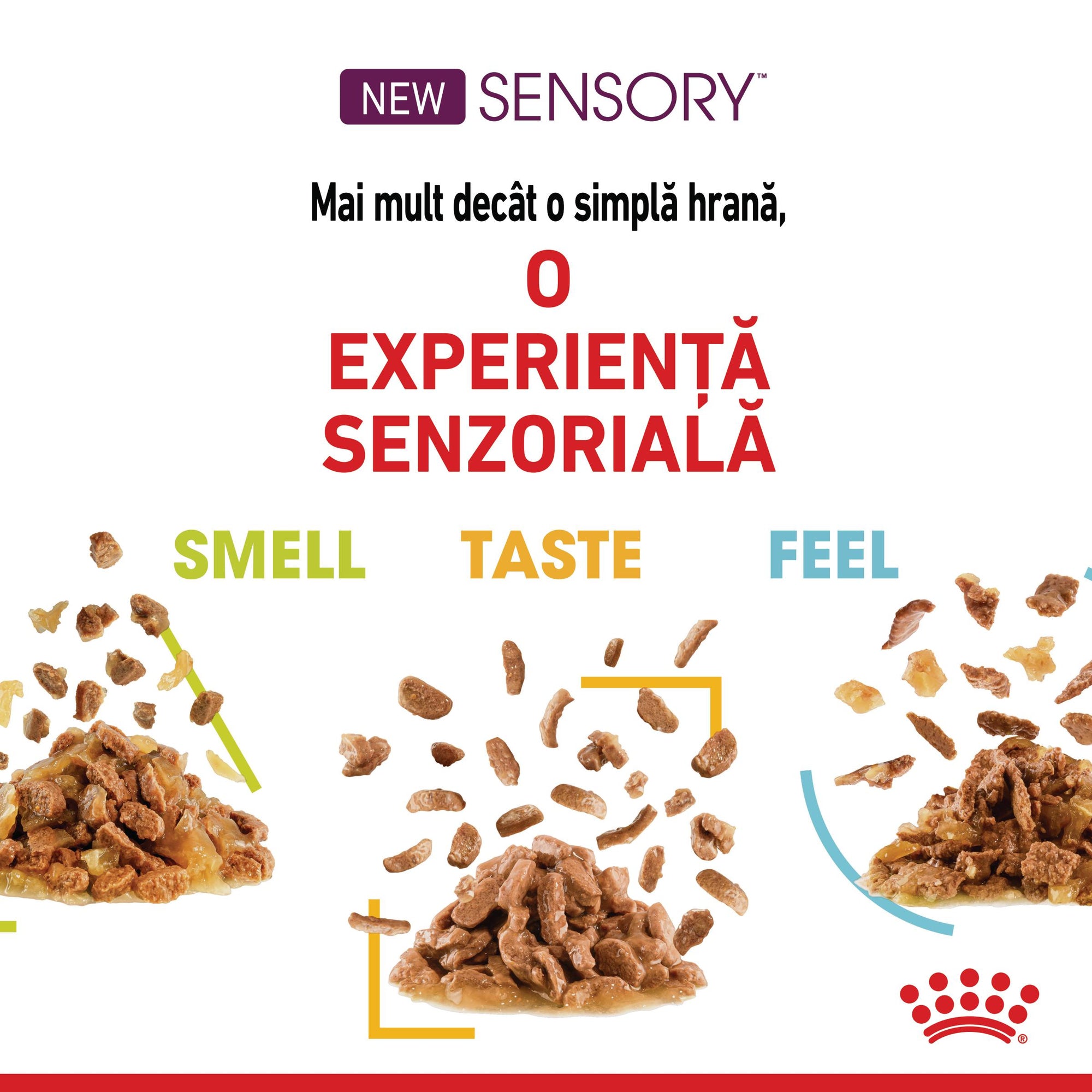 Royal Canin Sensory Taste, hrana umeda pisici, stimularea gustului (in sos), 85 g
