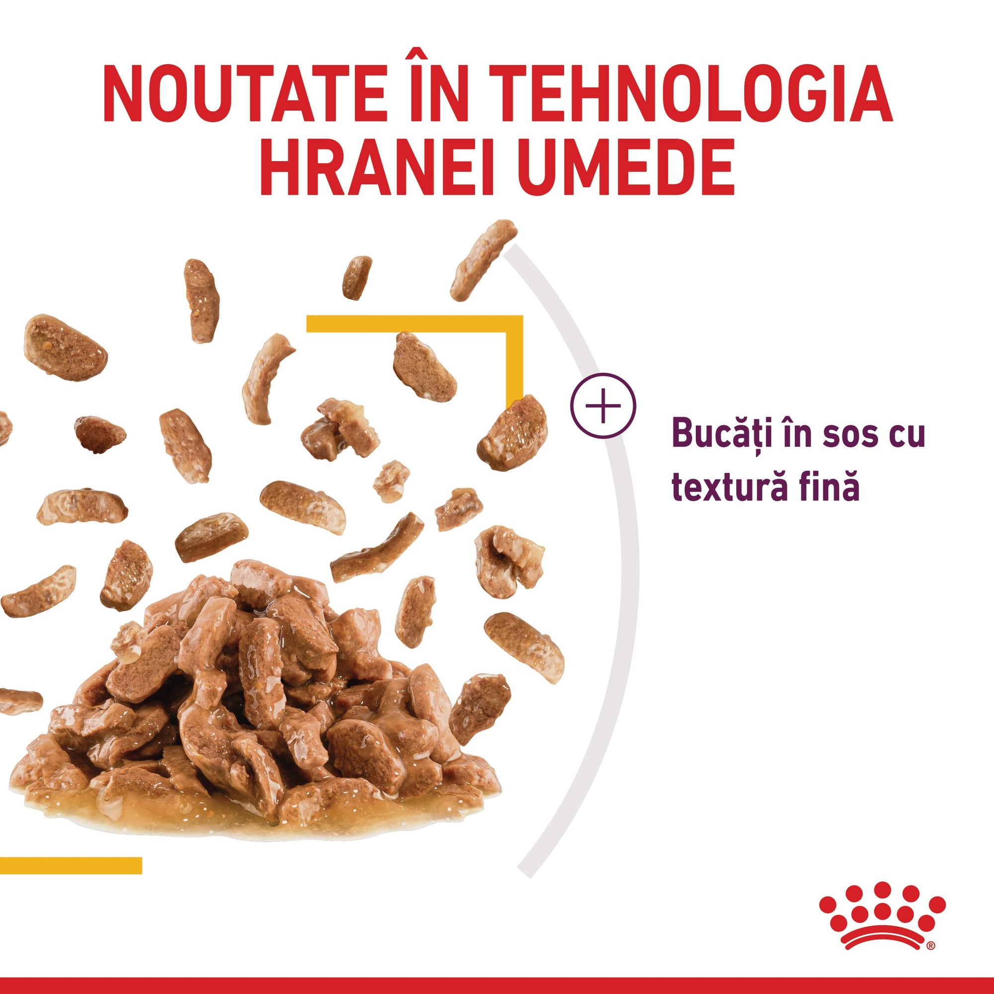 Royal Canin Sensory Taste, hrana umeda pisici, stimularea gustului (in sos), 85 g