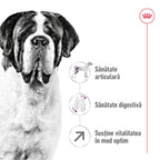 Royal Canin Giant Adult hrana uscata caine, 15 kg
