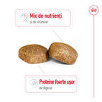 Royal Canin Giant Adult hrana uscata caine, 15 kg