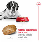 Royal Canin Giant Adult hrana uscata caine, 15 kg