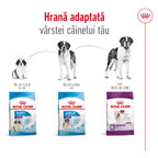 Royal Canin Giant Adult hrana uscata caine, 15 kg