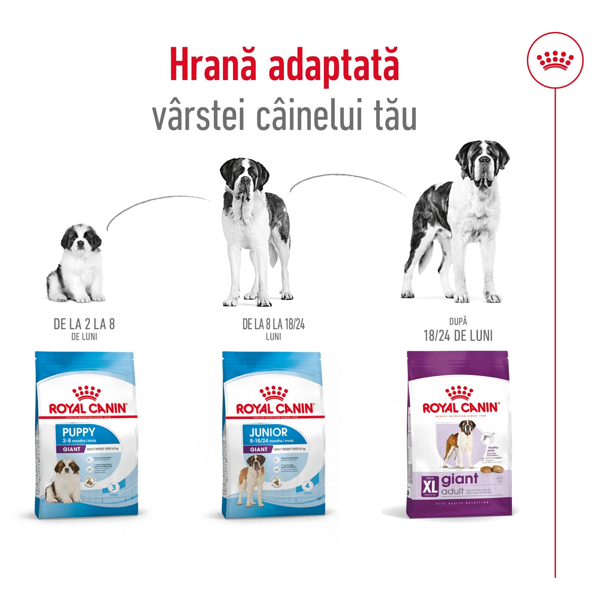 Royal Canin Giant Adult hrana uscata caine, 15 kg