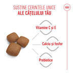 Royal Canin Giant Junior hrana uscata caine junior etapa 2 de crestere