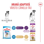 Royal Canin Giant Junior hrana uscata caine junior etapa 2 de crestere