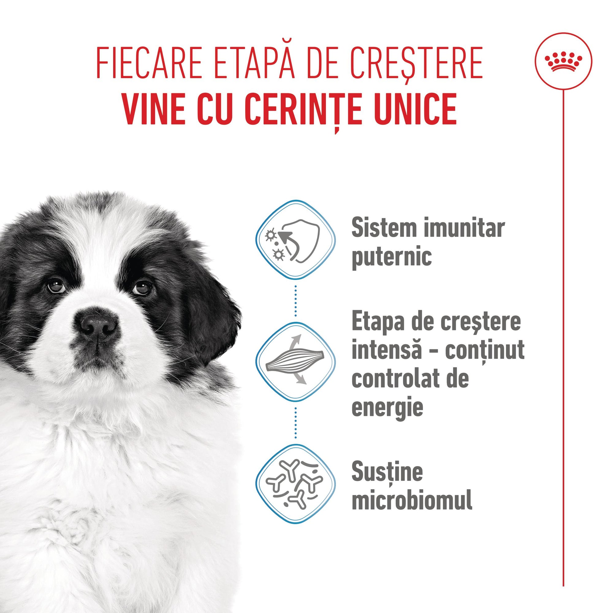 Royal Canin Giant Puppy hrana uscata caine junior etapa 1 de crestere