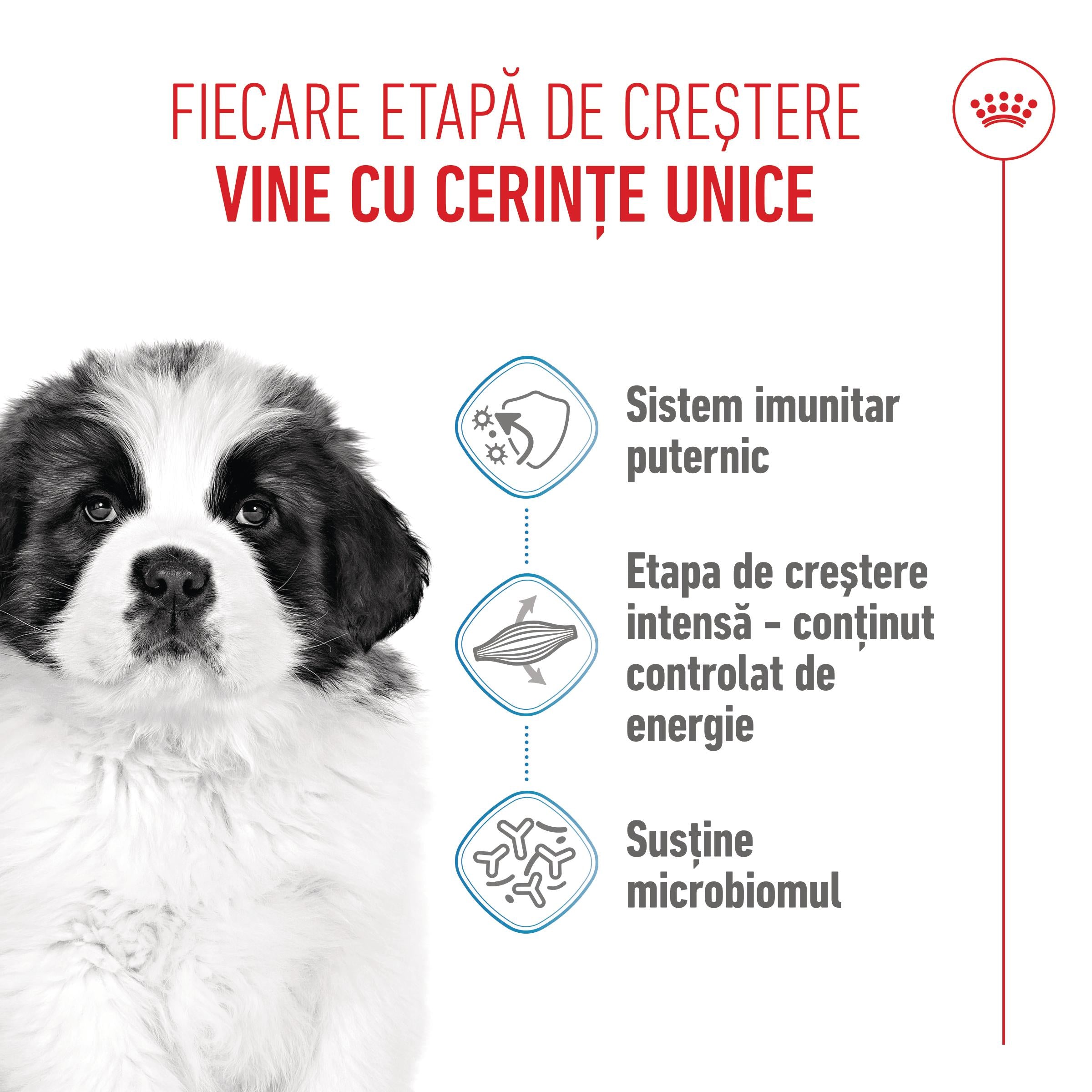 Royal Canin Giant Puppy hrana uscata caine junior etapa 1 de crestere