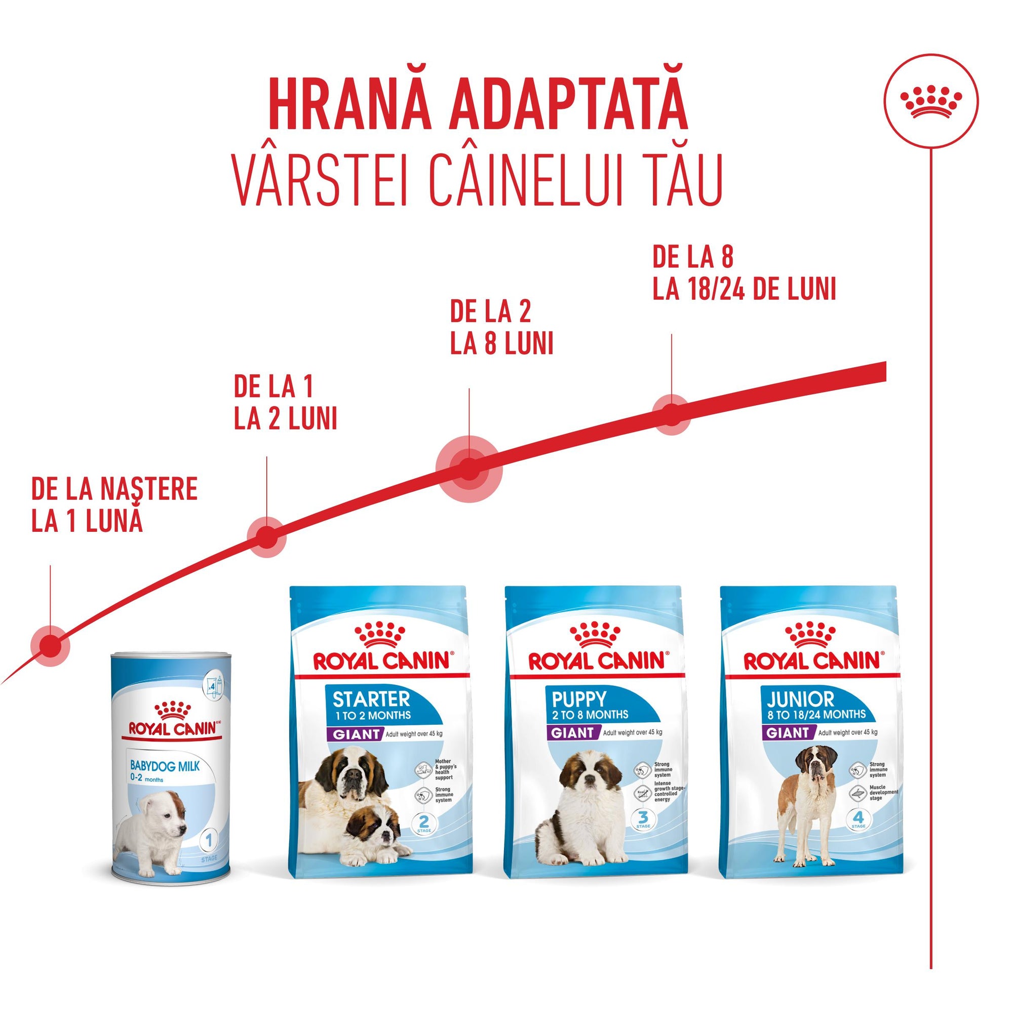 Royal Canin Giant Puppy hrana uscata caine junior etapa 1 de crestere