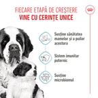 Royal Canin Giant Starter Mother & Babydog, mama si puiul, hrana uscata caine, 15 kg