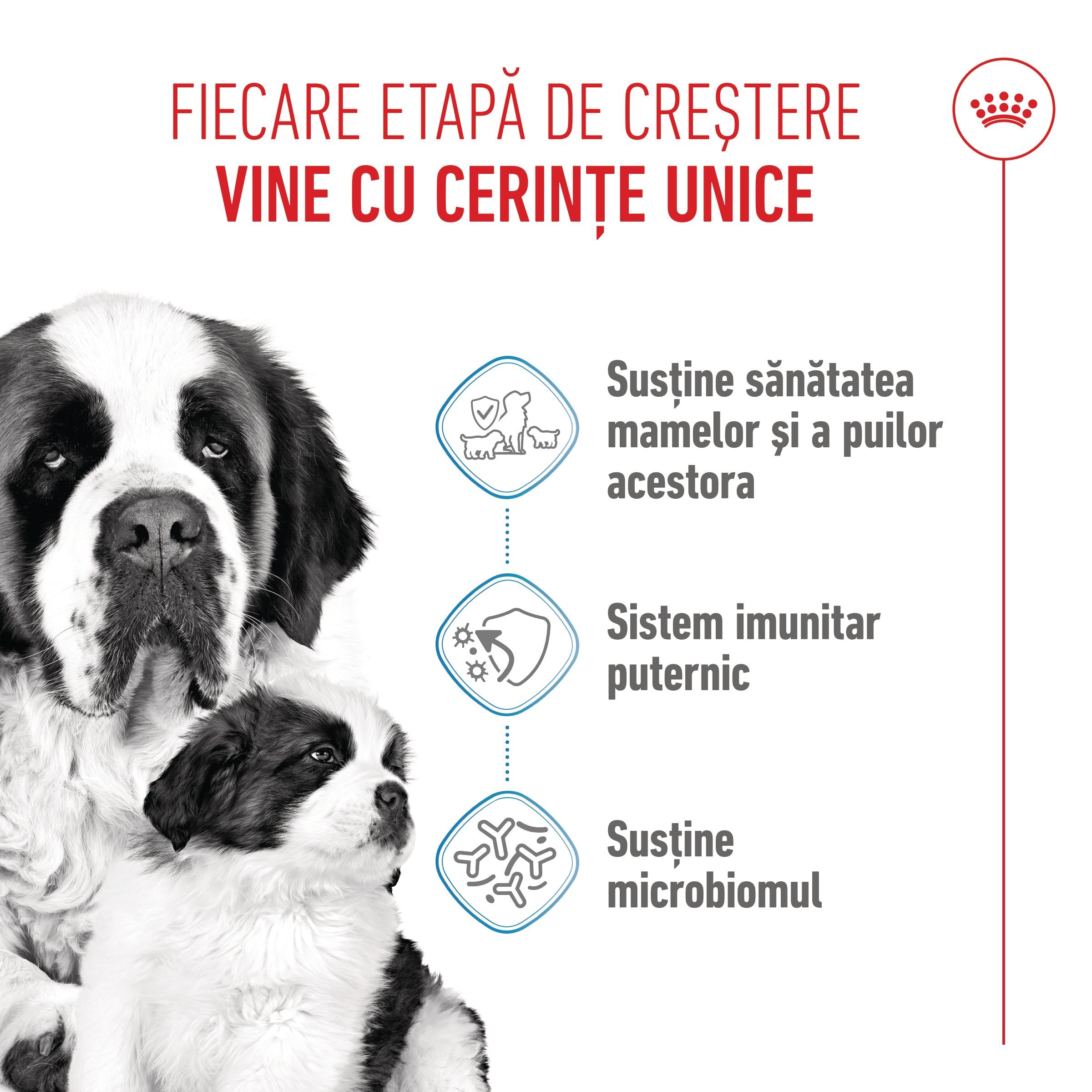 Royal Canin Giant Starter Mother & Babydog, mama si puiul, hrana uscata caine, 15 kg