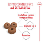 Royal Canin Giant Starter Mother & Babydog, mama si puiul, hrana uscata caine, 15 kg
