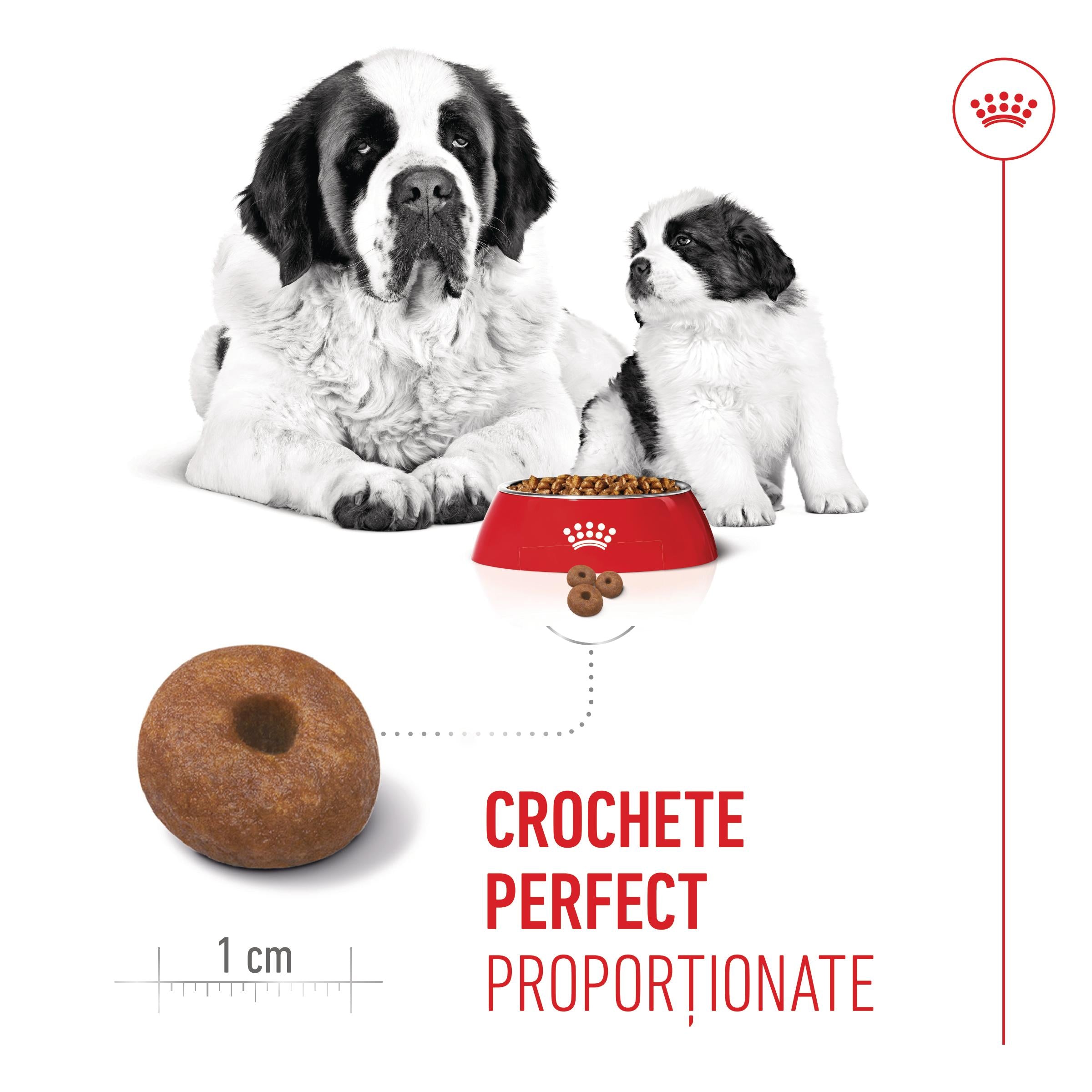 Royal Canin Giant Starter Mother & Babydog, mama si puiul, hrana uscata caine, 15 kg