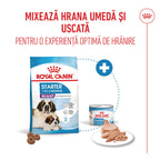 Royal Canin Giant Starter Mother & Babydog, mama si puiul, hrana uscata caine, 15 kg