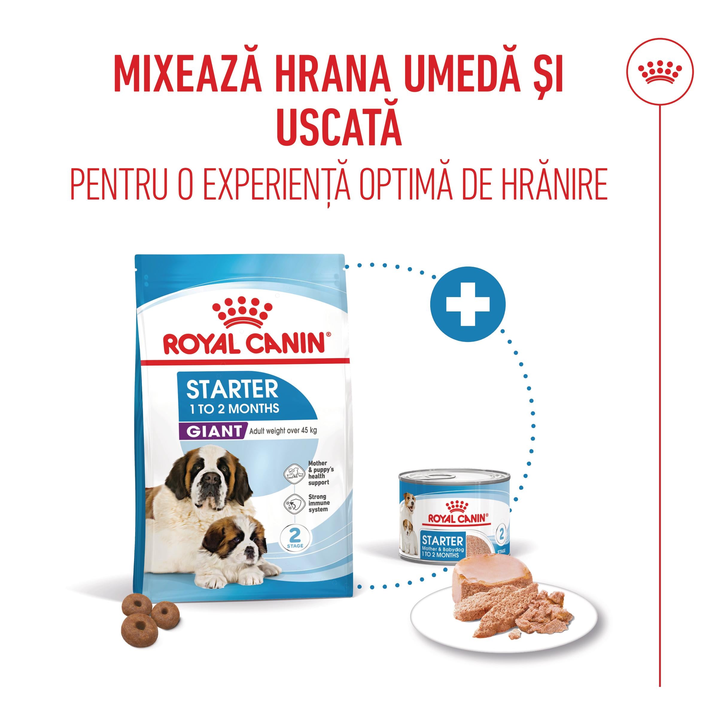 Royal Canin Giant Starter Mother & Babydog, mama si puiul, hrana uscata caine, 15 kg