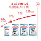Royal Canin Giant Starter Mother & Babydog, mama si puiul, hrana uscata caine, 15 kg