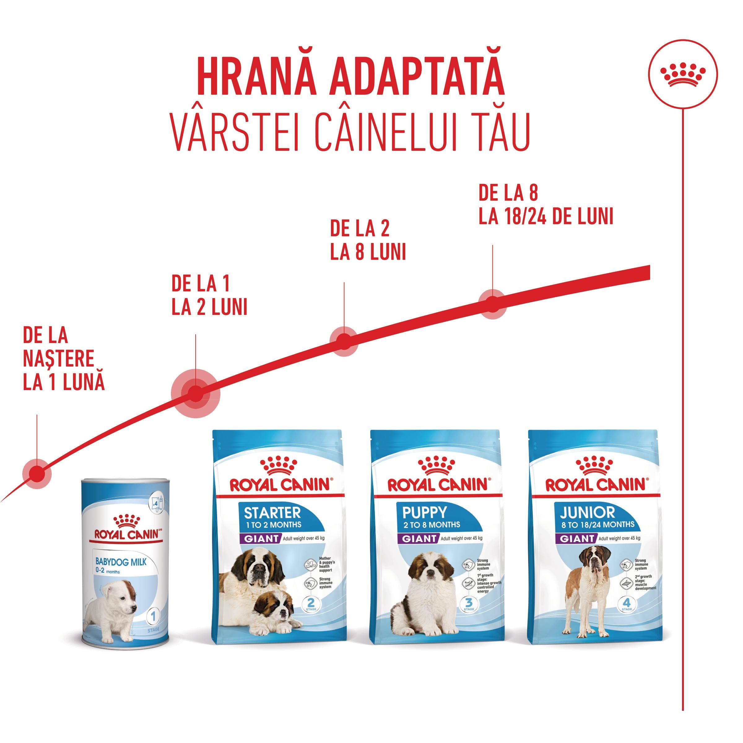 Royal Canin Giant Starter Mother & Babydog, mama si puiul, hrana uscata caine, 15 kg