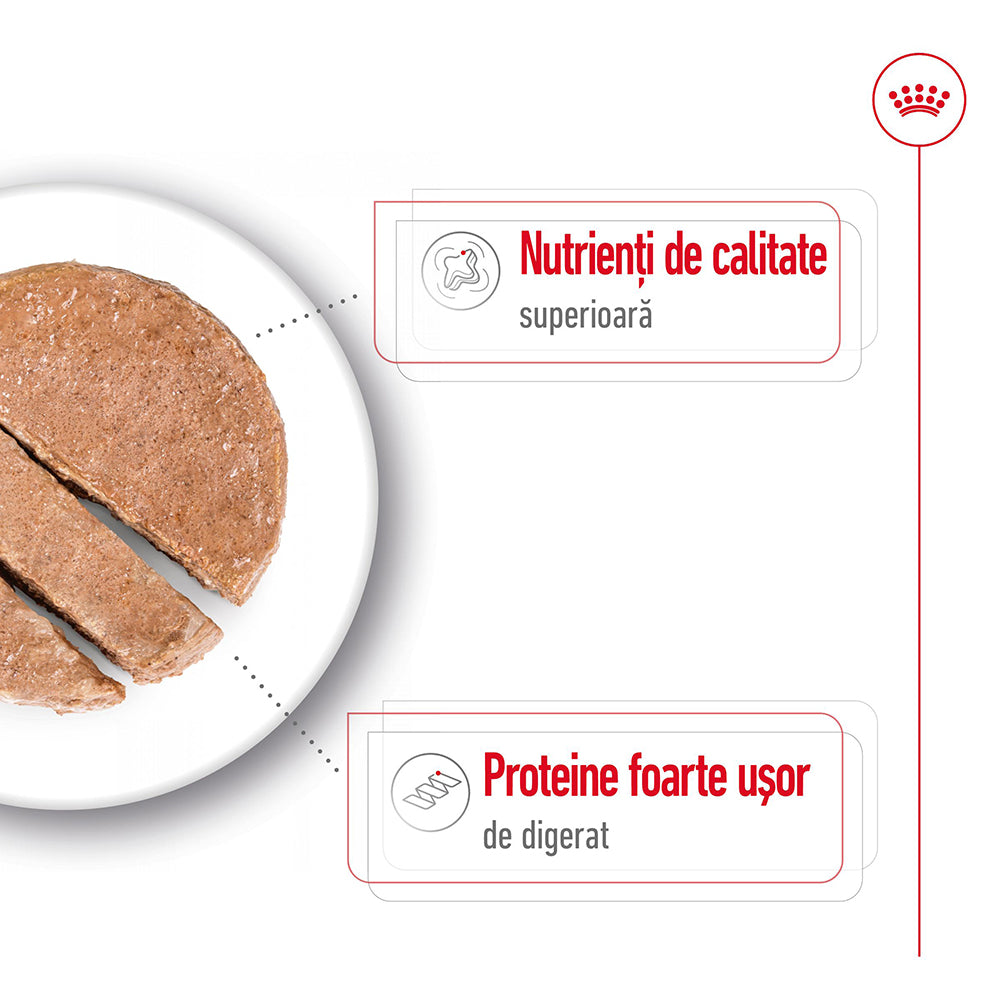 Royal Canin Maxi Adult hrana umeda caine (pate), 10 x 140 g